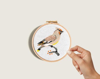 Waxwing cross stitch pattern, Modern embroidery, Watercolor bird x-stitch chart, Mini embroidery, Instant download PDF, Cute birds, animal