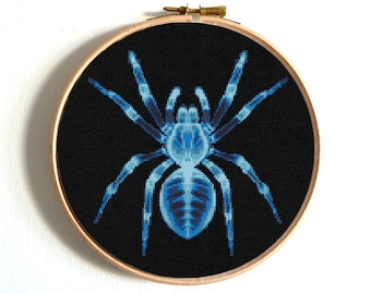 Funny spider X-ray cross stitch pattern, Spooky, scary, terrifying and weird spider embroidery, Unique bug design, Instant download PDF
