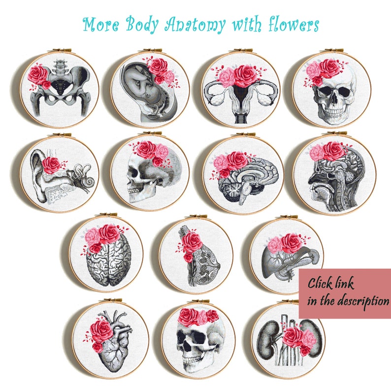Kidney Mini Cross Stitch Pattern Anatomy Cross Stitch Human Etsy