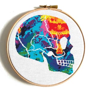 Human skull cross stitch pattern, Funny anatomy cross stitch, Modern cross stitch, Colorful brain embroidery, Scary counted cross stitch PDF