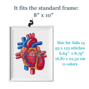 Anatomical heart cross stitch pattern Human Heart embroidery Modern cross stitch anatomy image 2