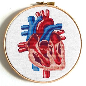 Anatomical heart cross stitch pattern, Human heart embroidery, Anatomy cross stitch, Human body embroidery, Scary cross stitch PDF