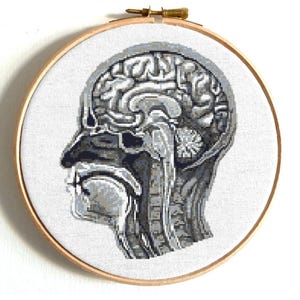 Skull cross stitch pattern, Brain cross stitch, Funny counted cross stitch, Modern cross stitch, Anatomical cross stitch, Funny cross stitch