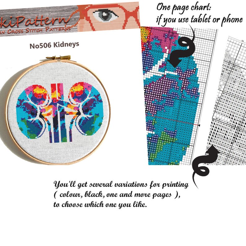 Modern Cross Stitch Pattern Kidney Cross Stitch Human Etsy