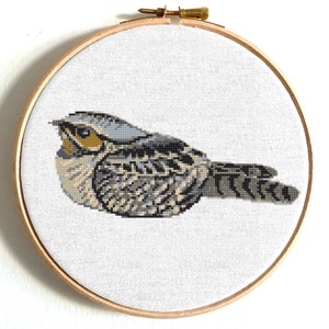 Bird cross stitch pattern Whippoorwill bird Cute singing bird counted cross stitch Easy cross stitch printable PDF pattern