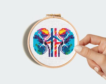Op de afbeelding: Kleurrijke kruissteekborduurwerk van een nier in een houten hoepel. Het nierontwerp heeft levendige blauwe, gele, oranje en rode kleuren. De borduursel wordt door een hand tegen een witte achtergrond gehouden.