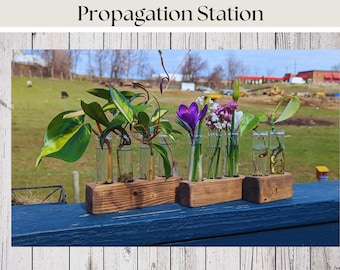Propagation Station for Plant Cuttings, Propagation Tubes, Windowsill Planter, Handmade Wooden Plant Display, Bud Vase, Spring Flower Vase