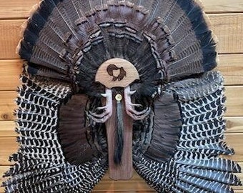 Turkey tail/wing mount.