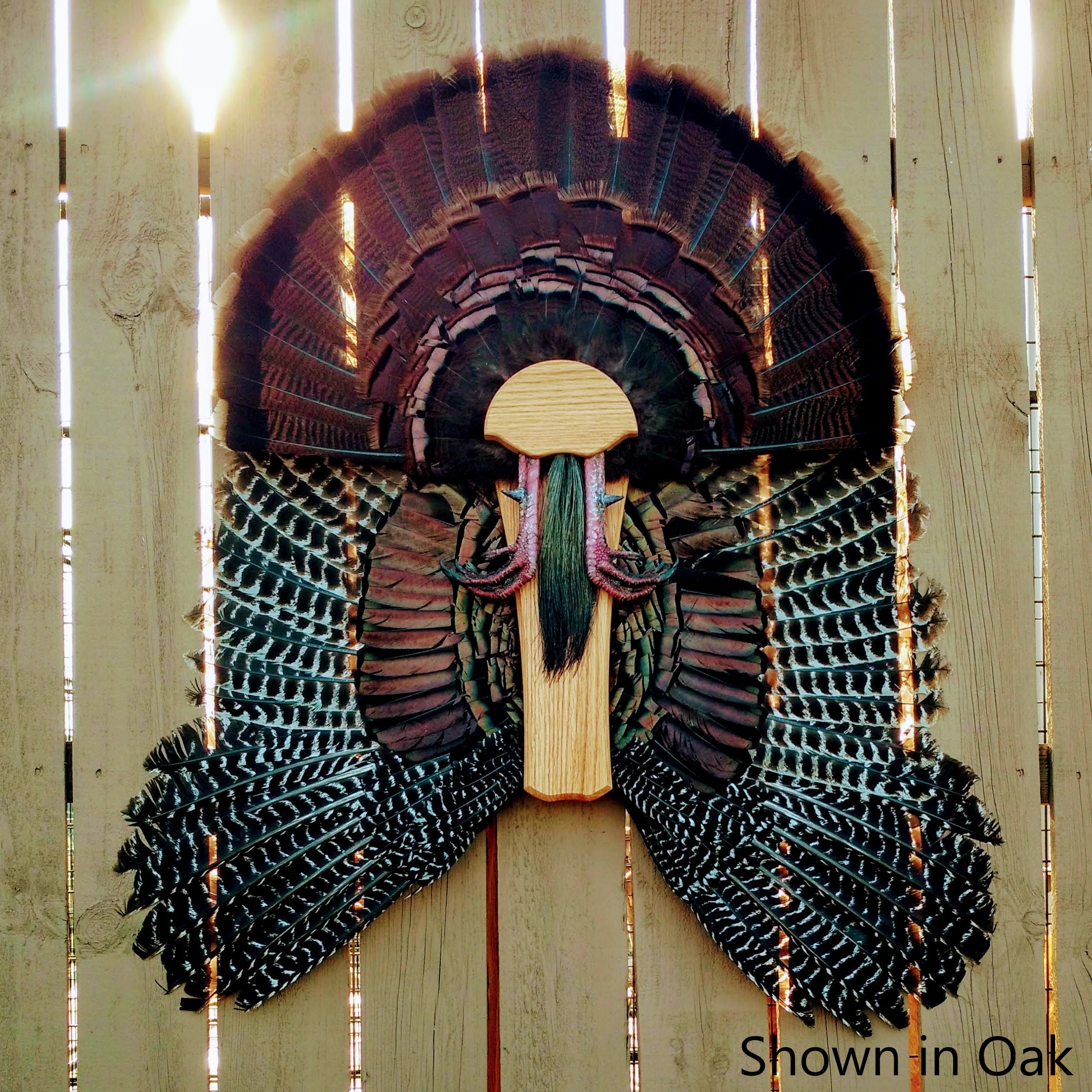 Turkey Tail Mounting Kits