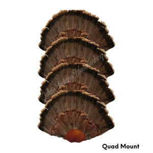 Four Turkey fan mount