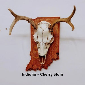 State Shaped European Plaque - Any Shape available