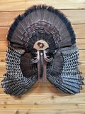 Turkey tail/wing mount.