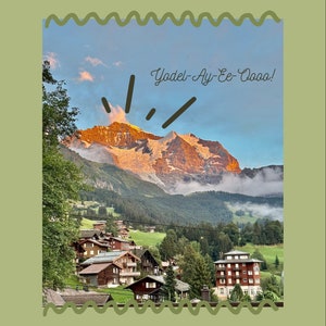 Schweizer Miss(ing)