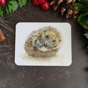 May include: A watercolor illustration of a brown hedgehog curled up in a ball on a white background.