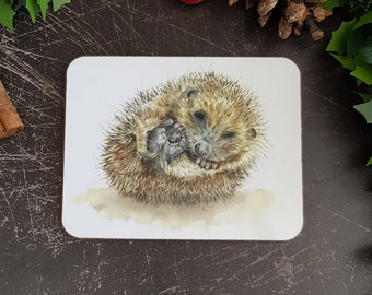 Carino sottobicchiere riccio regalo per lei amante dei ricci regalo per lui regalo fauna selvatica regalo di maiale riccio natura bosco dipinto riccio
