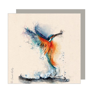 Wenskaart ijsvogel