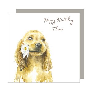 Gelukkige Verjaardag Bloem Waggy Tail Wensen Kaart