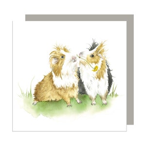 Guinea A Kiss Greeting Card