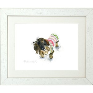 Op de afbeelding: Een aquarel van een teckel die een rood, groen en wit vest draagt. De hond kijkt met een nieuwsgierige blik naar de kijker. Het schilderij is rechtsonder getekend met "Sarah Reilly".