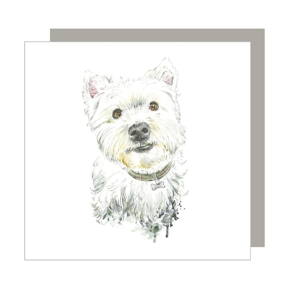 Angus Pawprints Greeting Card