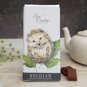 Igel Luxus belgische Schokoladentafel Geschenk Schokoladenliebhaber Geschenk Igel Liebhaber Geschenk Schokoladenkorb Geschenk