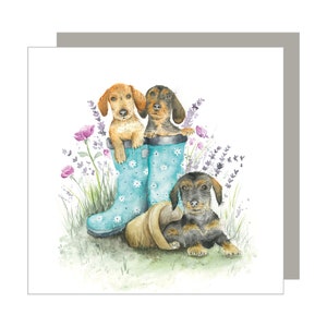Tarjeta benéfica para plantar cachorros