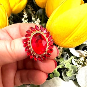 May include: A large red rhinestone brooch with a gold setting. The brooch is shaped like a flower with many petals.