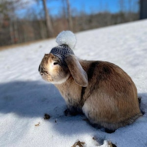 Crochet PomPom Beanie for Bunnies