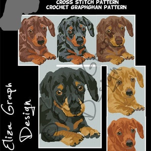Cucciolo di Bassotto Schema CROCE, Schema CROCHET Graphghan Blanket