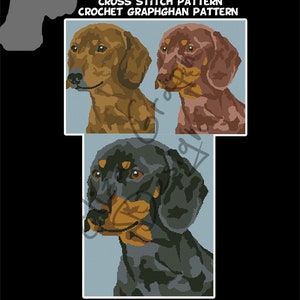 Bassotto CROSS STITCH Pattern, CROCHET Graphghan Blanket Pattern