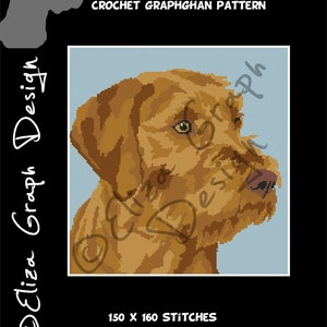 Vizsla de Pêlo Arame - Ponteiro Húngaro de Pêlo Arame Padrão PONTO CRUZ, Padrão de Cobertor Graphghan CROCHET