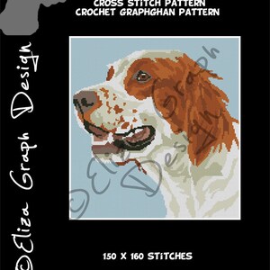 Puede incluir: Un patrón de punto de cruz o ganchillo con un perro Irish Red and White Setter. El diseño incluye el texto "IRISH RED AND WHITE SETTER CROSS STITCH PATTERN CROCHET GRAPHGHAN PATTERN". El patrón tiene 150 x 160 puntadas.