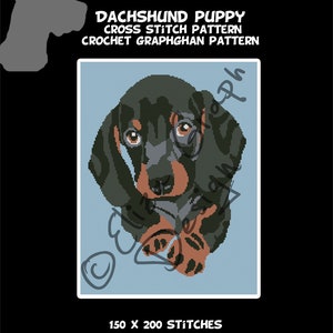 Cucciolo di bassotto Schema PUNTO CROCE, Schema coperta Graphghan all&#39;UNCINETTO