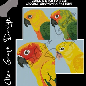 May include: Cross stitch pattern for a pair of Aratinga parrots. The pattern includes three different views of the parrots, each with a different color combination. The pattern is 110 x 130 stitches.