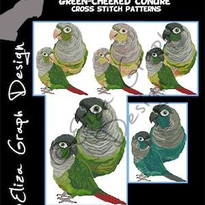 Green Cheeked Conure CROSS STITCH Pattern, Parrot Counted Cross Stitch Pattern