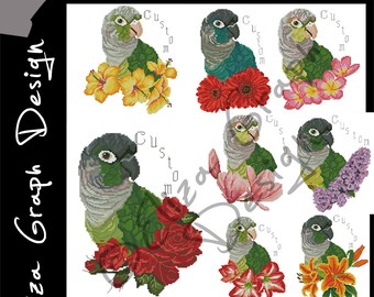 Custom Green-Cheeked Conure Cross Stitch Pattern, with chooseable flowers and custom name in PDF, Counted Parrot, Pattern