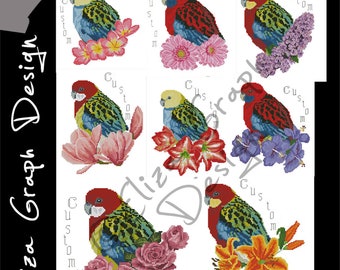 Custom Rosella Parrots Cross Stitch Pattern, with chooseable flowers and custom name in PDF, Counted Parrot, Pattern