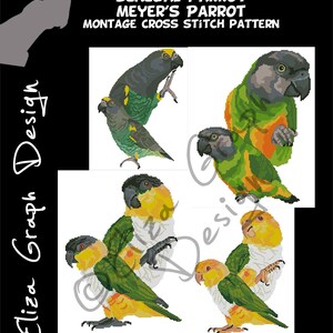 May include: Cross stitch pattern featuring four different types of parrots: a caïque parrot, a Senegal parrot, a Meyer's parrot, and a yellow-headed Amazon parrot. The pattern is 130 stitches wide by 170 stitches high.