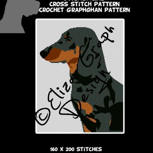 Bassotto CROSS STITCH Pattern, CROCHET Graphghan Blanket Pattern