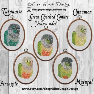 May include: Five embroidery hoop patterns of a green-cheeked conure parrot in different colour variations: turquoise, cinnamon, pineapple, natural, and a green and red colour variation. The text "Green Cheeked Conure Yellow sided" is above the hoops. The text "Eliza Graph Design" is at the top of the image. The text "elizagraphdesign_embroidery" is below the design name. The text "www.etsy.com/shop/ElizaGraphDesign" is at the bottom of the image.