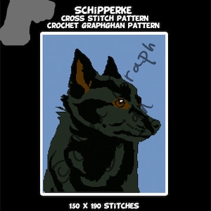 May include: A black and brown Schipperke dog cross stitch pattern with 150 x 190 stitches. The dog is looking to the right and has a blue background.
