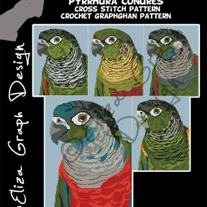 Crimson Bellied Conure, Black Capped Conure, Maroon Bellied CROSS STITCH Pattern, Indian ringneck parrot CROCHET Graphghan Blanket Pattern