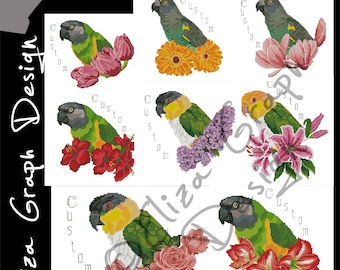 Custom Caique Parrot, Senegal Parrot, Meyer Cross Stitch Pattern, with chooseable flowers and custom name in PDF, Counted Parrot, Pattern