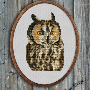 May include: A cross-stitch pattern of a brown and white owl with yellow eyes. The owl is framed in a brown wooden oval frame.