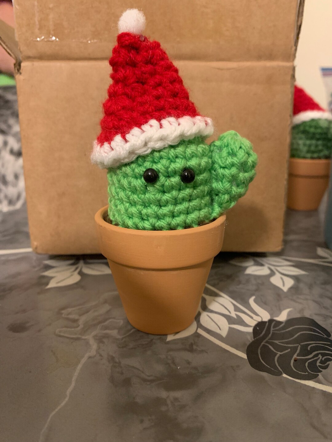 Christmas Cactus Etsy