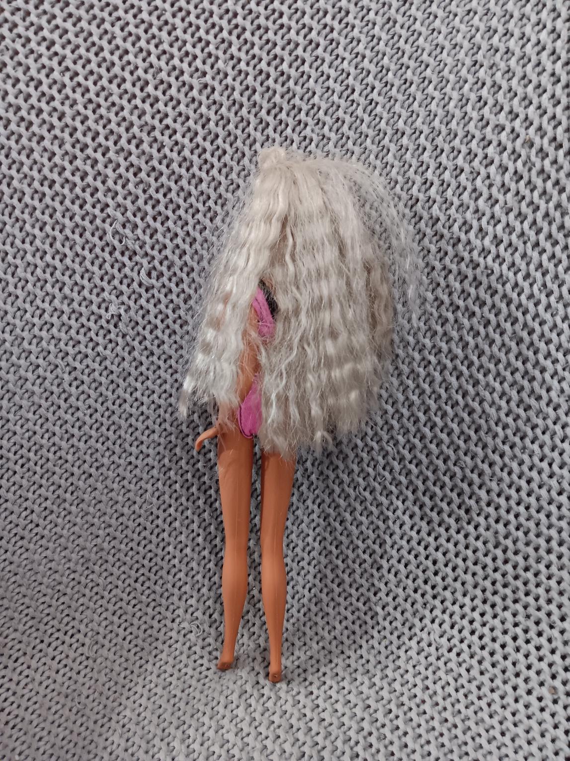 Barbie & Skipper Beach Blast Annalisa Bianca Fornasier - Tutte Le Mie Barbie! Fl