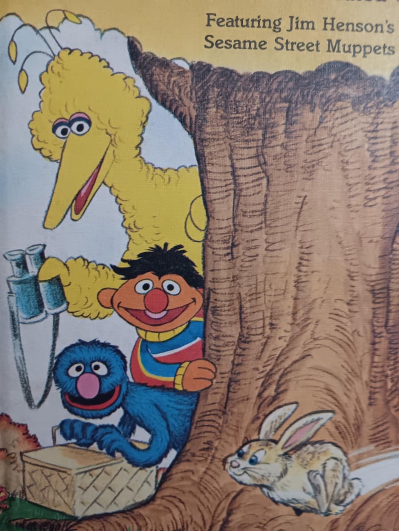 Look What I Found - Sesame Street Book Club C. 198 - Etsy