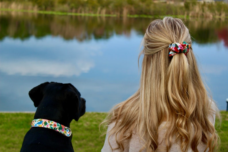 Girl Dog Harness Personalized Dog Harness Floral Dog Etsy