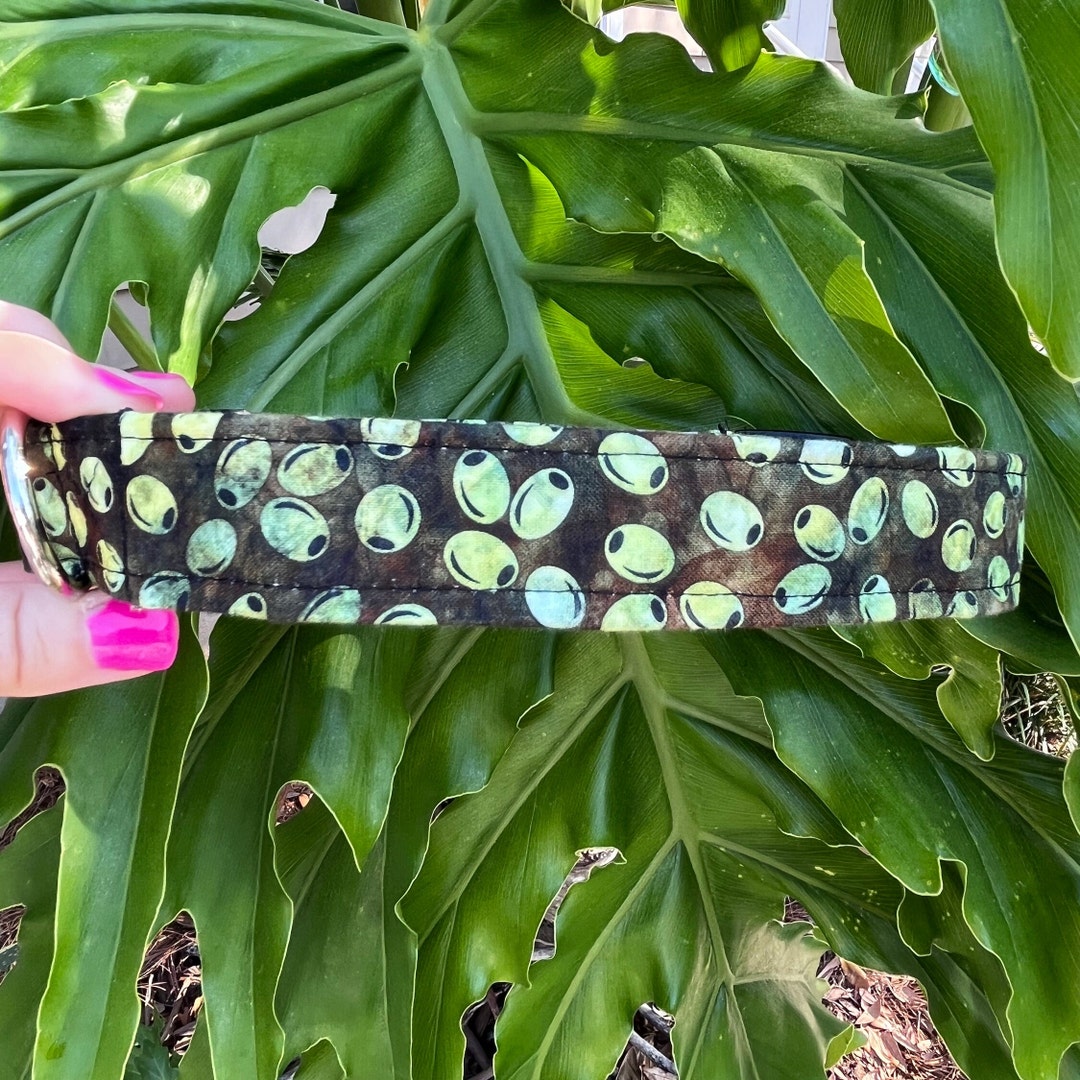 Olive Dog Collar Food Dog Collar Personalized Dog Collar Etsy
