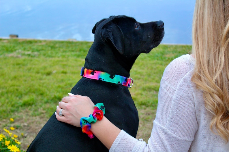 May include: A dog collar and a matching scrunchie featuring a vibrant rainbow tie-dye pattern with black paw print motifs. The collar includes a black plastic buckle and a silver metal D-ring, while the scrunchie is made of gathered fabric.